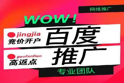 百度竞价排名服务：成功案例解析与优化策略